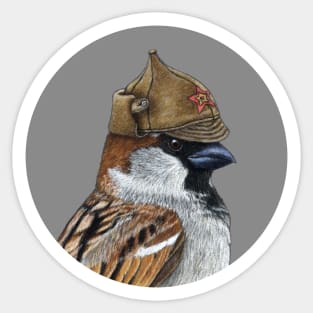 House sparrow Sticker